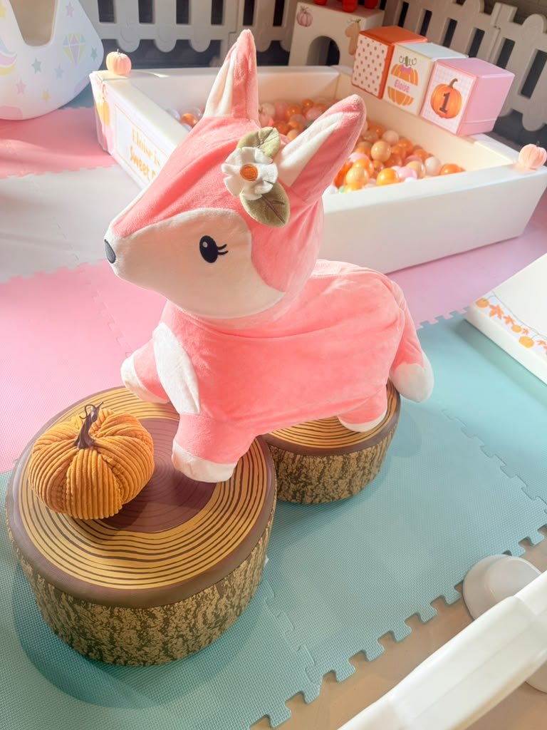 fall soft play rental roc
